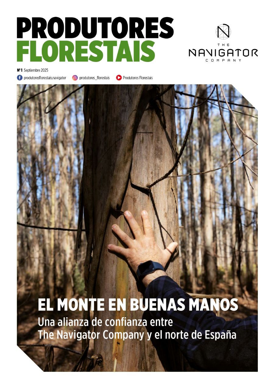 Productores forestales